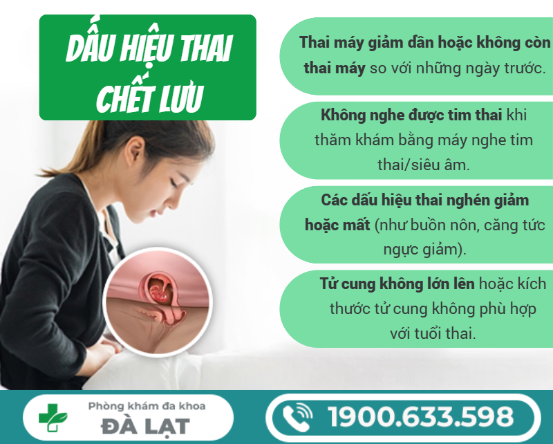Hình ảnh minh họa